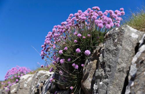 Craiglea Lodge - Foto 32