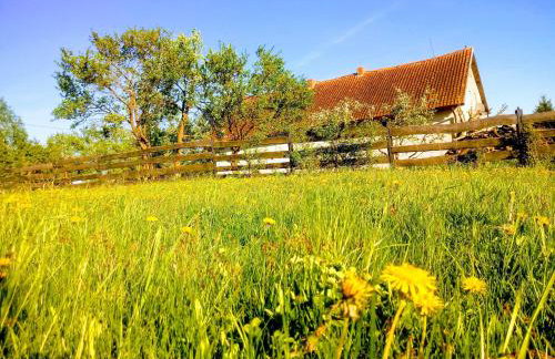 Zakątek Szczęścia Eko Agroturystyka - Foto 33