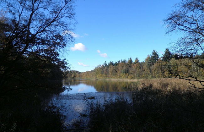 Holiday Home in Langweer With Infrared Sauna - Foto 29