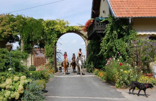 Ferienwohnungen Lindleshof - Foto 45