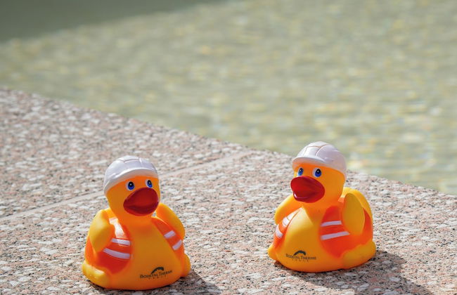 Hotelpark Bodetal - Foto 48