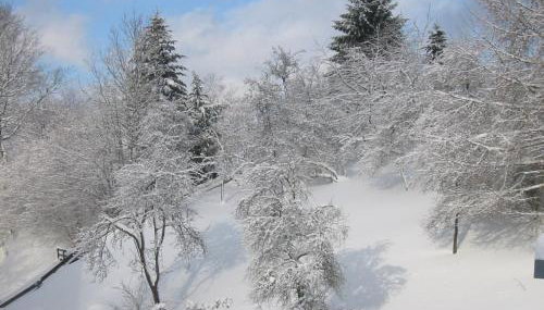 Gasthaus Wollmeiner - Foto 3