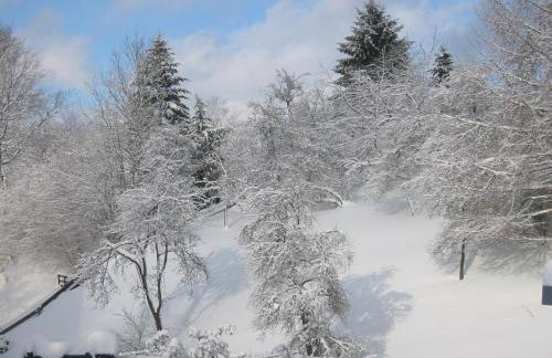 Gasthaus Wollmeiner - Foto 3