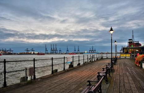 Wellie Stern - Foto 46