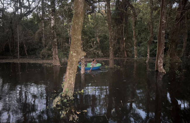 Coorg Tree House - Foto 23