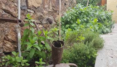 Monolocale con veranda e giardino a Rio Marina - Foto 3, Garden view