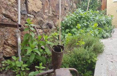 Monolocale con veranda e giardino a Rio Marina - Foto 3