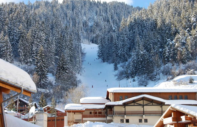 4-6 Pers. Holiday Appartment Near Center of Champagny - Foto 47