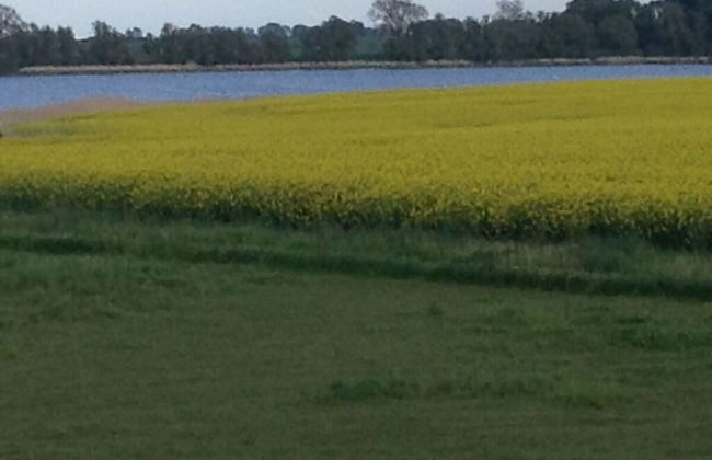 Cosy Apartment in Garz - Foto 9