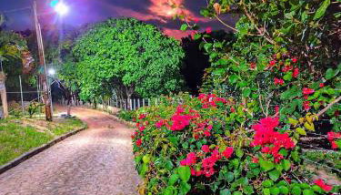 Pousada Chácara Pau - Brasil - Foto 3