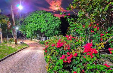 Pousada Chácara Pau - Brasil - Foto 3