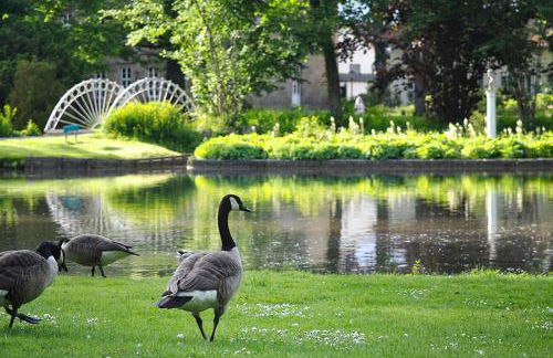 Parkblick Bad Driburg - Foto 47