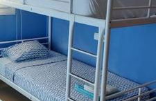 Condado de alhama, naranjos 8 - Foto 14