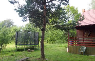 Dom na Kresach Grzybowszczyzna - Photo 39