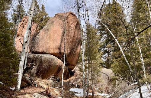 Red Door cabins - Foto 11