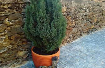 Alojamento Rural Casa da Eira - Foto 9