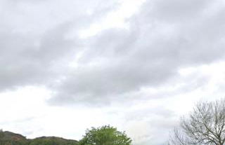 Brackenbrae Holiday Cottage - Photo 30