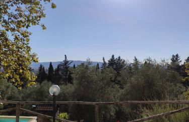 Podere Borgaruccio - Foto 5