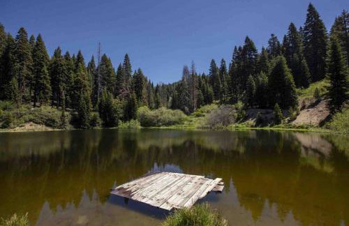 Sweet getaway in private Giant Sequoia Grove! - Foto 17