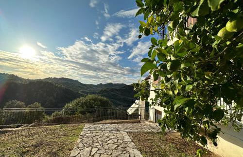 Bacchus Villa - Foto 58