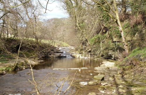 Fern Cottage - Cosy Dales Cottage in Nidderdale - Photo 38