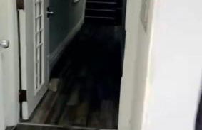 New Apartment Liberty State Park Jersey City NJ Airport Train Manhattan NYC - Foto 34