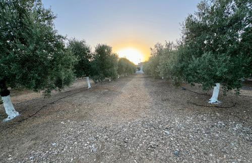 La Casa del Flamenco - Foto 45