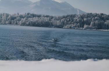 Chiemsee Cottage - Foto 30