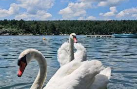 House Angelina - Foto 57