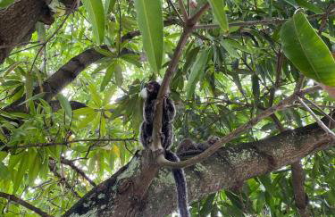 Casa grande em Serrambi - Photo 14