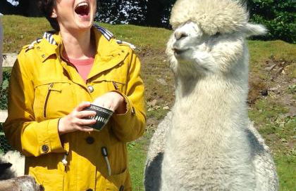 The End Place - Foto 17