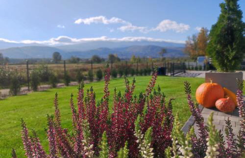 Domki Karkonosze Pod Dębem - Foto 28