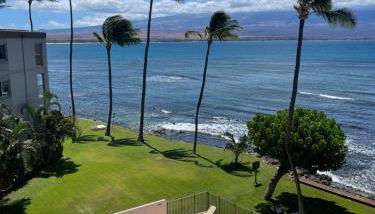 This place is different!! Award winning! Oceanfront, View View! - Foto 3, sunbed