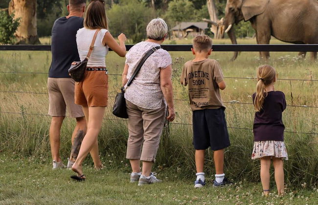 4 Person Holiday Home on a Holiday Park in Borre - Photo 9