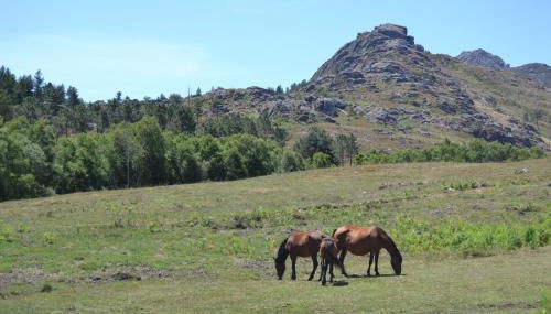 Casas de Xisto, Branda da Aveleira - Foto 2