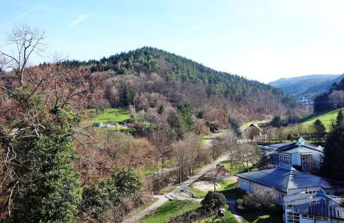 Apartment with panoramic views in the black forest - Foto 18