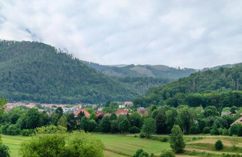 Haus am Rand des Harz - Photo 23