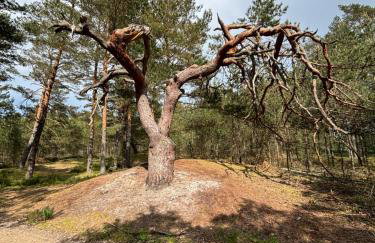 Przystań na Dobrej - Foto 32