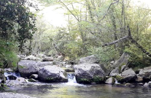 Holidays In Provence Alpes Maritimes - Foto 34