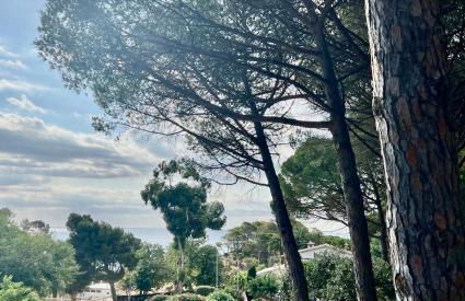 Casa Paradis Rosamar - Luxury villa with pool 1min walk from beach Costa Brava! - Foto 67