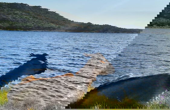 Lugar da Pedra Alta - Foto 57