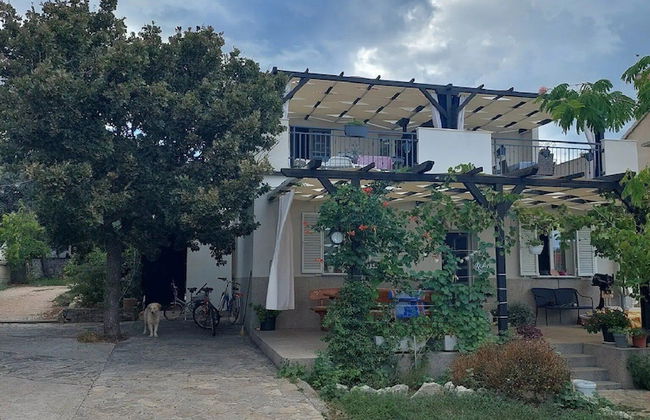 Apartments Paula - Photo 1