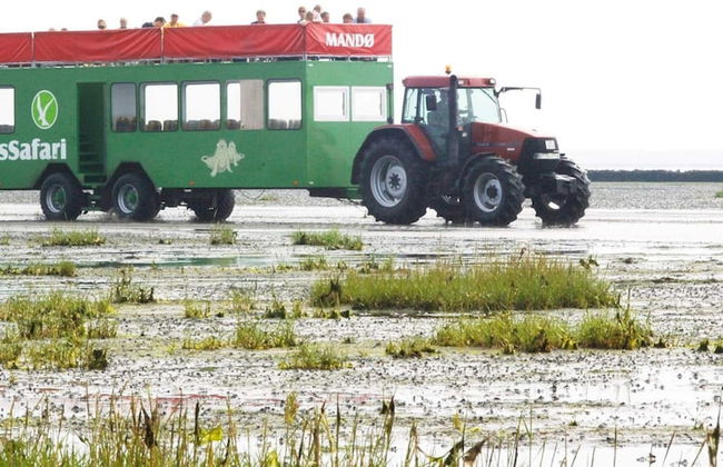 Charming Retreat on Mando - By Traum Ferienwohnungen - Foto 4