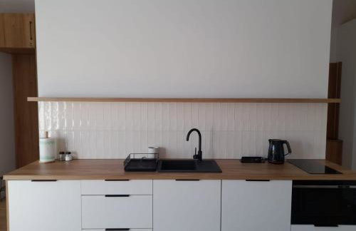 Domek na Kępie - Photo 3