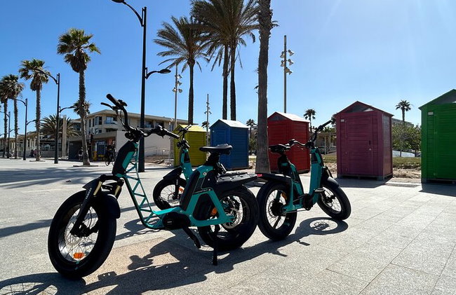 Tour en bicicleta eléctrica : Playas, & Ciudad de las Artes y las Ciencias - Foto 17
