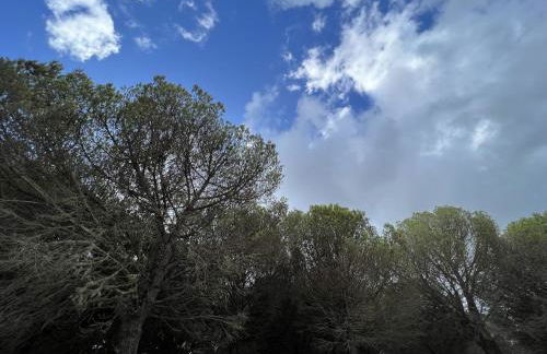 5th Element Espartal by Lisbeyond - Foto 46