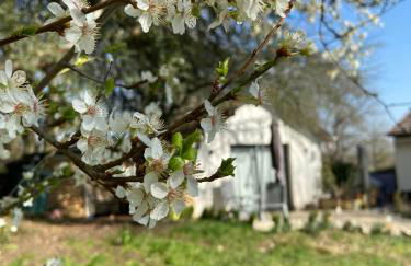 Cottage avec jacuzzi privé & jardin nature près de Chaumont-sur-Loire - Foto 40