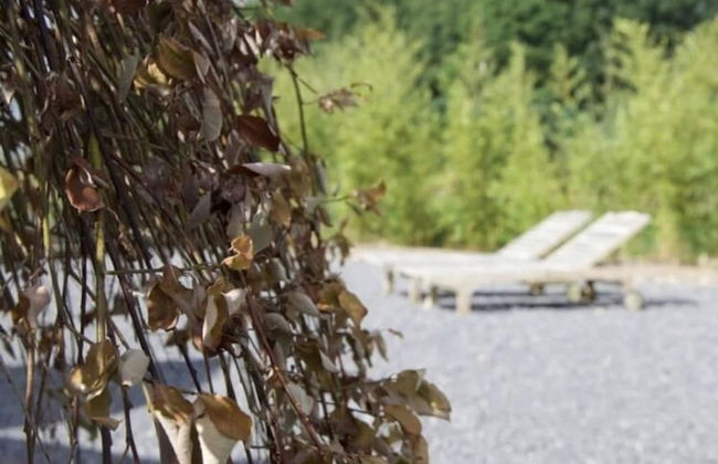 Luxury Spa Retreat in Theux - Photo 40