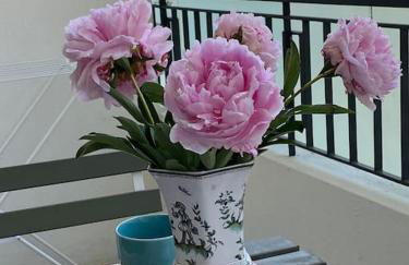 Joli studio calme et central - Foto 1