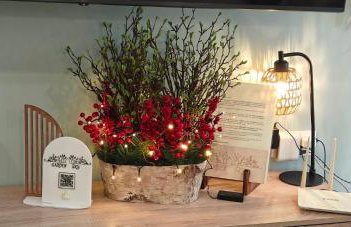 Garden Sky - Photo 6